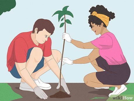 Aquarius and Pisces will love artistic and creative dates.