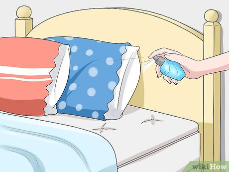 Step 8 Use fragrance throughout your house as well.